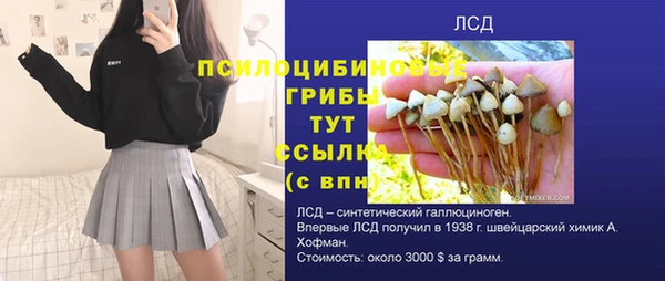 дурь Инсар