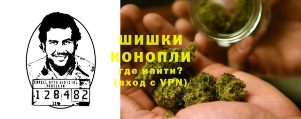 дурь Инсар