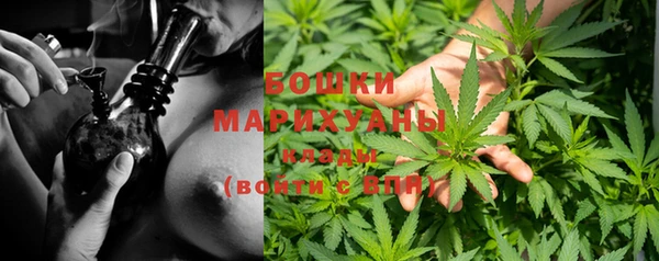 твердый Зерноград