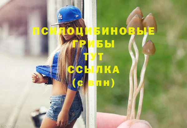 mdpv Зеленокумск