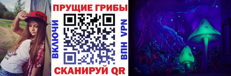 купить наркотик  Себеж  Галлюциногенные грибы ЛСД 